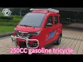 250CC gasoline trike 5 door 3 seats petrol tricycle enclose 3 wheel motorcycle