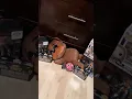 I FOUND ALL NEW FNAF MERCH