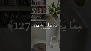 حالات واتس قرآن القارئ اسلام صبحي 