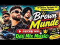 Brown Munde 🔥 | AP Dhillon, Gurinder Gill, Shinda Kahlon | Punjabi Hit Song | Desi Mix Music🌟