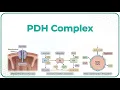 Pyruvate Dehydrogenase Complex PDC Medical Biochemistry USMLE Step 1