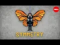 The science of symmetry - Colm Kelleher