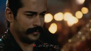 حالات واتس آب جديده اغنيه راشد الماجد ودي اناظر في عيونك ثواني تصاميم جديده ستوريات انستا 