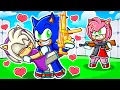 Sonic Meets Amy s Twin Sister In Rivals
