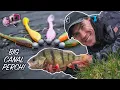 THESE TINY LURES CATCH BIG PERCH UK Canal Fishing using Dropshot and Jigs