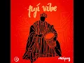 Fuji Vibe