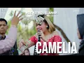 Download Lagu ADE ASTRID - CAMELIA - ELBAMA -  AZS AUDIO