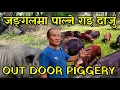 Download Lagu डरलाग्दो जङ्गलभित्र चराएर सुङ्गुर पाल्ने राई दाजु,दलालले 50 लाख खाएपछी जङ्गलमा सुङ्गुर गोठालो गर्दै