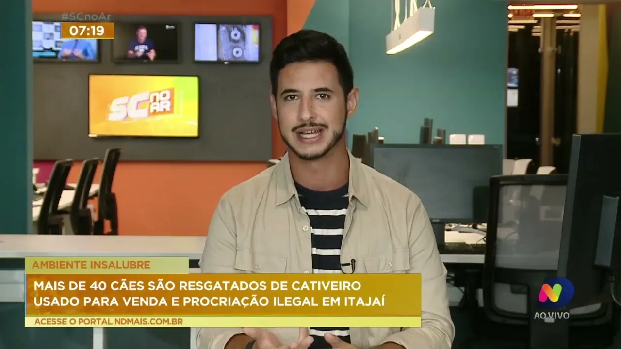 Mais de 40 cães são resgatados de cativeiro usado para venda e procriação ilegal em Itajaí