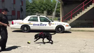 K-9 Libby assists Dutchess County Sheriff s Office sniff out fire accelerants