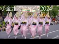 Download Lagu 【阿波踊り2024】第46回小金井阿波おどり | Awaodori in Koganei Tokyo Japan