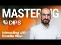 Mastering DIPS - Interacting with Rosette View