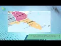 Dumpster Rental Sandalfoot Cove FL 33428 - Fast Affordable Roll-Off Dumpsters