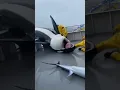 Lagu 🐋 Orca CRASHES Onto the Deck After Marlins Jump Aboard! 😱⚔️🐟