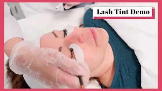 How to Lash Tint New Oxidant Free Eyelash Tint Process Best Lash s