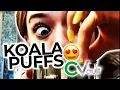 Koala Puffs Finds the Perfect Gift Nesting CVaults