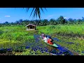 Download Lagu Camping  bersama anak istri dirumah terapung