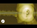 Lagu Tinnitus Sound Therapy - Ringing in Ears (4 Hours)