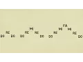 Download Lagu Daily Practice 1: Scales and Triads