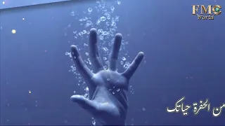 أروع الترانيم ترنيمة باركي يا نفسي الرب للمرنمة ماغي وارطان  أروع الترانيم ترنيمة باركي يا نفسي الرب للمرنمة ماغي وارطان