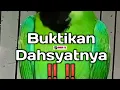 Download Lagu Masteran Cucak Ijo Gacor Tembakan Panjang Kasar - Kasar