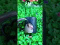 Download Lagu Bekijk hoe de geheime afbeelding op deze magische beker verschijnt!
