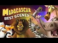 Download Lagu Madagascar - Best Scenes