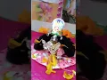 Download Lagu Holi🌈Khelni hai Aaj tere naal🌺 O Vrindavan Rehn Valeya🤞🏻Radha Krishna ji aaj k Shringar Darshan🥰 13