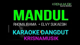 mandul karaoke dangdut duet original hd audio
