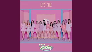 Download IZ*ONE (アイズワン) 「Shy Boy」 [Official Audio] MP3
