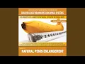 Natural Penis Enlargement