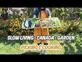A Slow Summer Day in Canada Backyard Garden Harvest Homemade Lunch