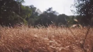 انشودة صلى عليك الله ياخير الورا 