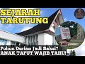 Download Lagu SEJARAH TARUTUNG / INILAH ASAL USUL KOTA TARUTUNG TAPANULI UTARA! / POHON DURUAN JADI BUKTI SEJARAH?