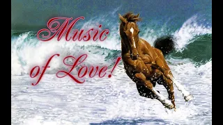 WONDERFUL MUSIC BY SERGEY GRISCHUK MUSIC OF LOVE  WONDERFUL MUSIC BY SERGEY GRISCHUK MUSIC OF LOVE