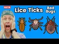 Bed Bugs And Beyond Top 7 Bug Bites You Should Be Worried About
