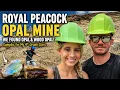 We Went Opal Mining in Nevada and Hit the JACKPOT