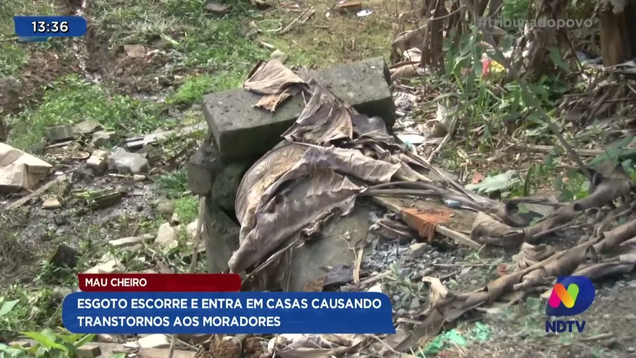 Mau Cheiro: esgoto escorre e entra em casas causando transtornos aos moradores