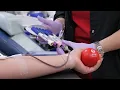 Donating Blood and Platelets at the American Red Cross