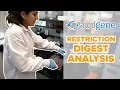 Restriction Digest Analysis