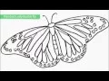 Top 25 Free Printable Butterfly Coloring Pages