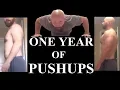 Pushups Everyday For A Year