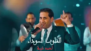 احمد شيبه اغنية لحال احلي دندنها