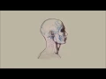 Cage The Elephant - Cold Cold Cold