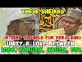 Download Lagu For preaching Igbo, Yoruba, Hausa-Fulani peaceful coexistence, these Sheikhs entered big trouble