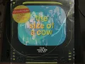 The Wonder Stuff: The Size of a Cow