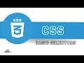 CSS Basic Selectors Learn CSS in Nepali