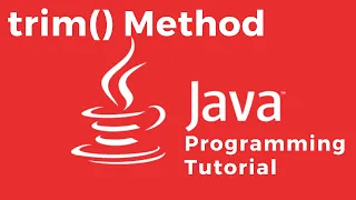 How to remove the leading and trailing whitespaces in a given String using the Java trim method