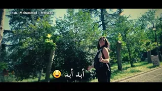 ديانا حداد الى هنا 