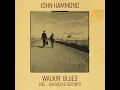 Me And The Devil Blues (Live At The Chicago Blues Festival, Grant Park 16th June 1991)